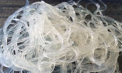 Bean Thread Noodles Pan In Pan Out