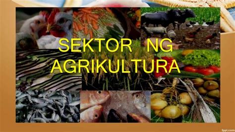 Sektor ng agrikultura