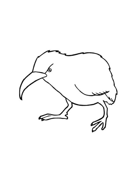 Kiwi Bird coloring page