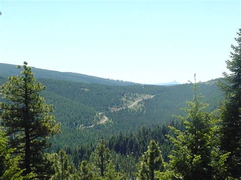 Malheur National Forest