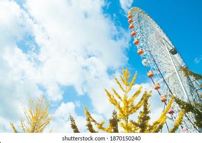 Tempo Zan Harbor Village Images Stock Photos Vectors Shutterstock