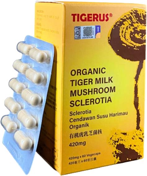 Tigerus Tiger Milk Mushroom Ligno Tm Lignosus India Ubuy