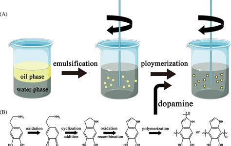 Schematic Diagram Of The Synthesis Of The Ebpda Download Scientific