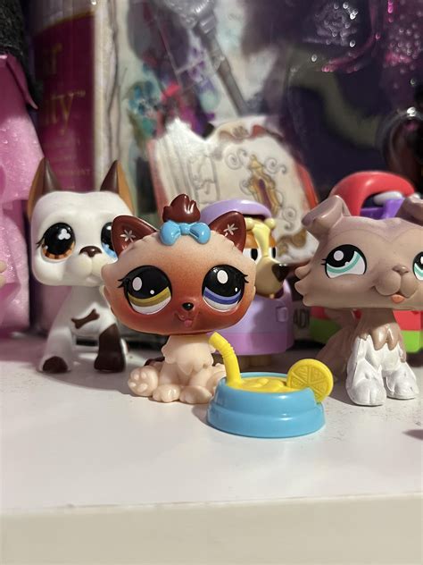 Gen 7 Pets Rlittlestpetshop