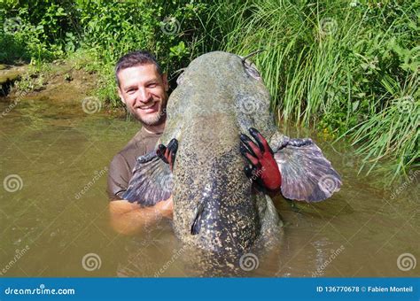 Catfish Fishing Fish And Fisherman Stock Photo Image Of Lake Large