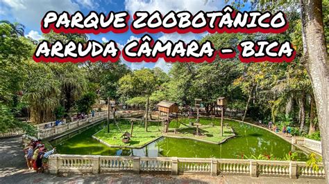 Parque Arruda C Mara Bica Um Lugar Em Jo O Pessoa Que A Crian Ada