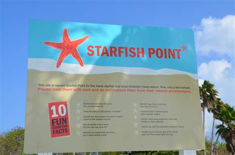 Family activities - Starfish Point Grand Cayman | Kids in Cayman