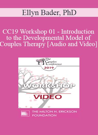 Cc19 Workshop 01 Introduction To The Developmental Model Of Couples