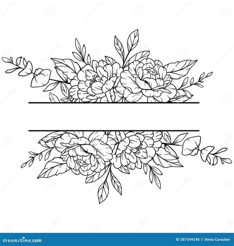 Peony Frame Line Art Outline Floral Frame Hand Drawn Illustration