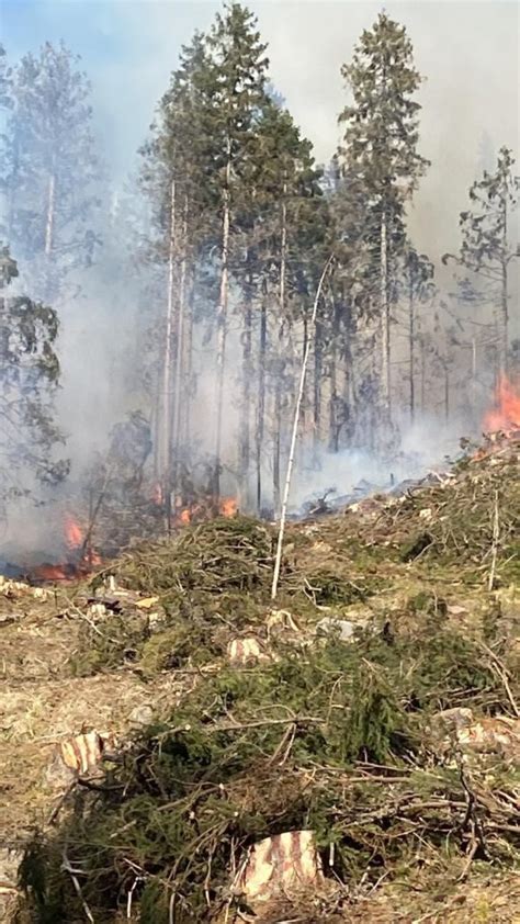 Foto Arde P Durea Pe Valea Gurghiului Un Nou Incendiu De P Dure N