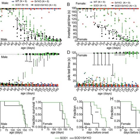 Srf Connects Neuronal Activity Mediated Gene Transcription With