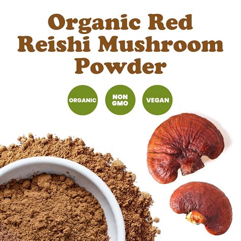 Organic Red Reishi Mushroom Powder Buy In Bulk From Food To Live