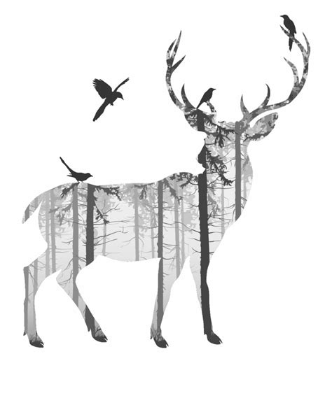 Free Black And White Deer Drawing Download Free Black And White Deer
