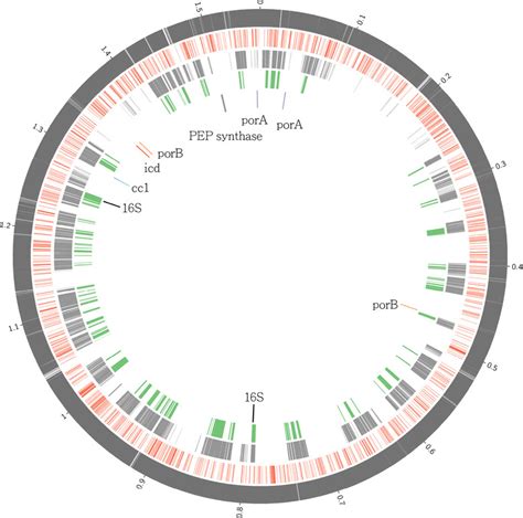 Mapping Both Fosmid And DSS Contigs And Raw Reads To Hydrogenobaculum