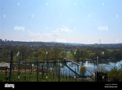 Scenic View Of Terracedvineyards And Famous Footbridge Over The Neckar