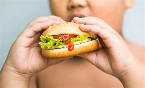 Se lucha contra la obesidad infantil ALIMENTACIÓN SANA NUTRIENTES