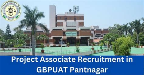 Project Associate Recruitment In Gbpuat Pantnagar Govt Jobs