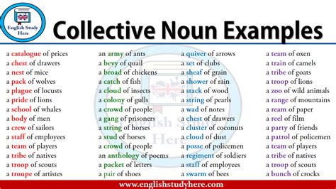 100 Examples of Collective Nouns - English Study Here