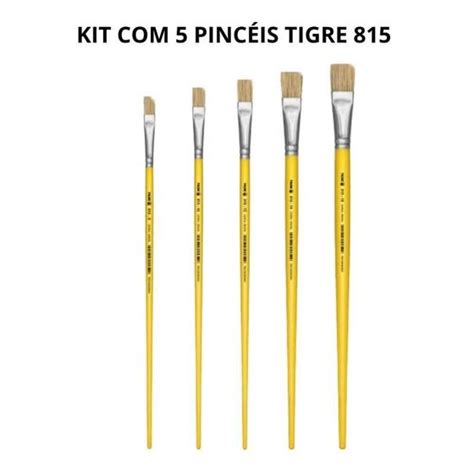 Kit 5un Pincel Chato Reto 815 Cerda Tigre Pincéis para Pintura