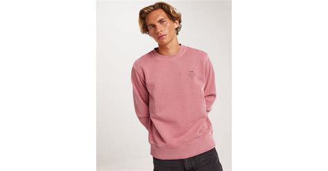 Buy Neuw Neuw Crew Magenta Nly Man