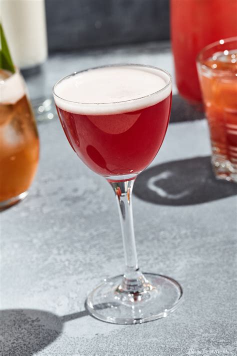 Sloe Gin Fizz Cocktail Recipe THE SHAKEN COCKTAIL