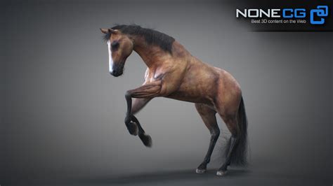 Nonecg 3d Models Animated 3d Horses 3dsmax