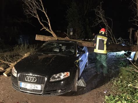 Kreis Gifhorn Schrecklicher Unfall Baum St Rzt Auf Auto Fahrer