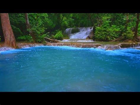 Calming Jungle River And Tropical Waterfall Sounds Hours Audio