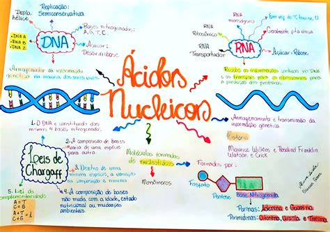 Acidos Nucleicos Mapa Mental