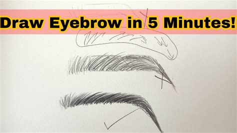 How To Draw Eyebrow Realistic Eyebrow Beginners Youtube