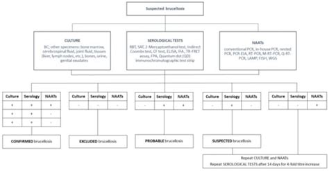 Pathogens Free Full Text Microbiological Laboratory Diagnosis Of Human Brucellosis An Overview