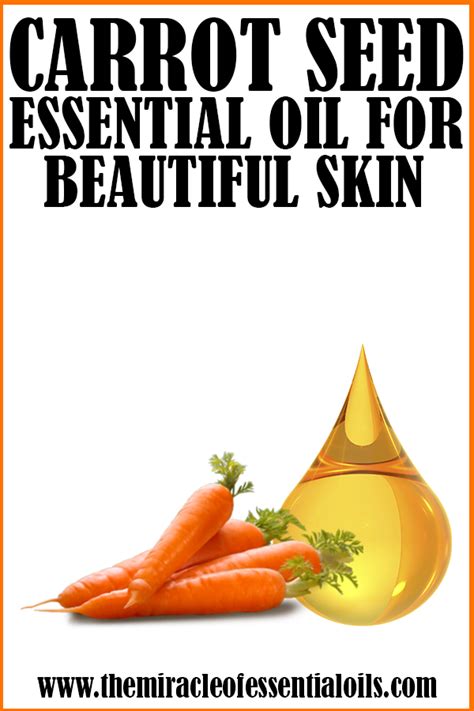 Top Carrot Seed Essential Oil Skin Benefits The Miracle Of