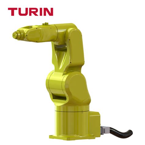 Turin 6 Axis Sorting Robotic Arm Industrial Handling Robot China