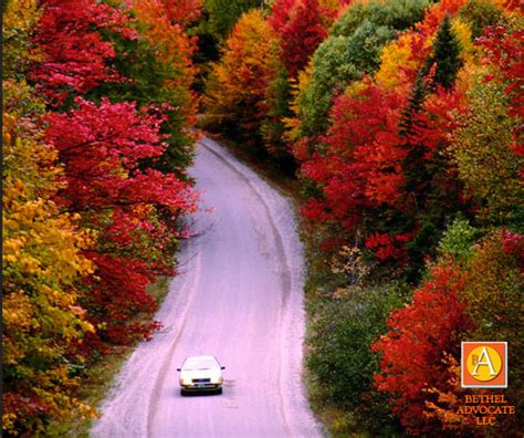 The Best Fall Foliage Drives In Connecticut Scenic Views And Hiking