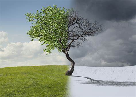 Weather vs. Climate: What Is the Difference? 