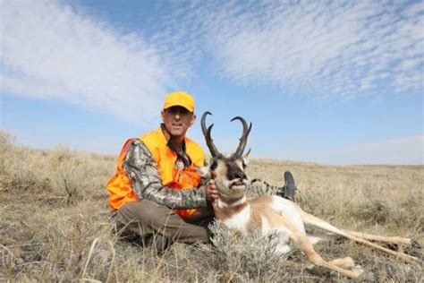 Colorado Antelope Hunting Antelope Hunts In Colorado