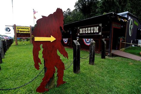 Roadside Bigfoot Georgia Museum Devoted To Legendary Beast Citynews