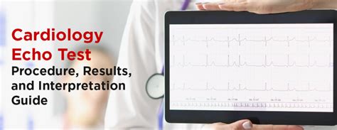 Cardiology Echo Test: Procedure, Results, and Interpretation Guide