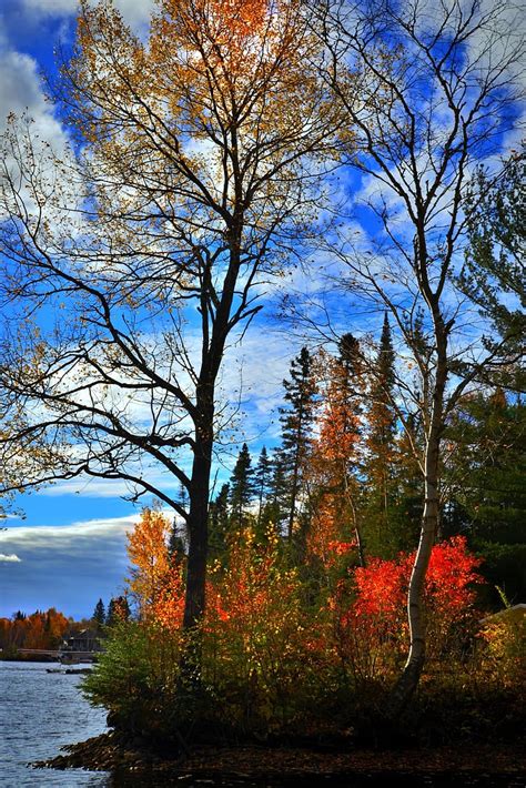 Autumn Landscape Fall Colors Nature Autumn Leaves Colorful Water