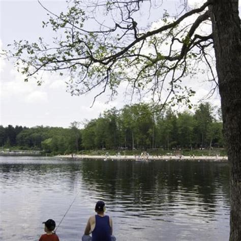 Laurel Lake At Pine Grove Furnace State Park Gardners Pa