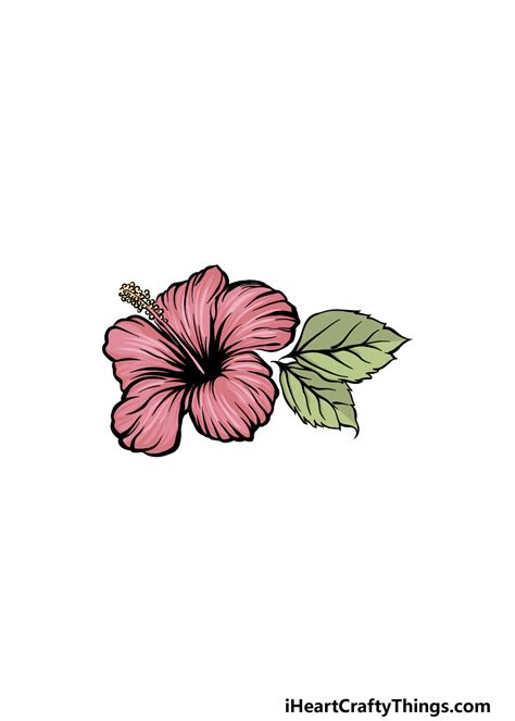 Draw A Hibiscus Flower And Label Its Parts Best Flower Site