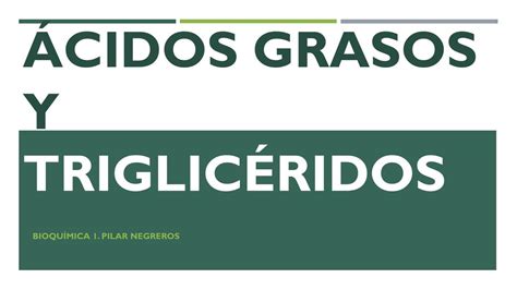 Ácidos Grasos y Triglicéridos ISLAND ISLAND uDocz