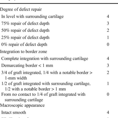 International Cartilage Repair Society Icrs Macro Scopic Assessment