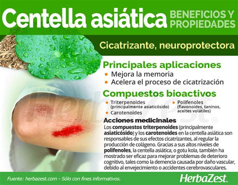 Beneficios y propiedades medicinales de la centella asiática