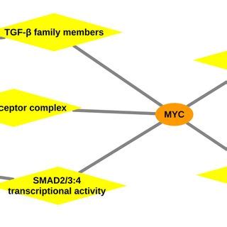 Gene Pathway Network Network Representing The Association Between The