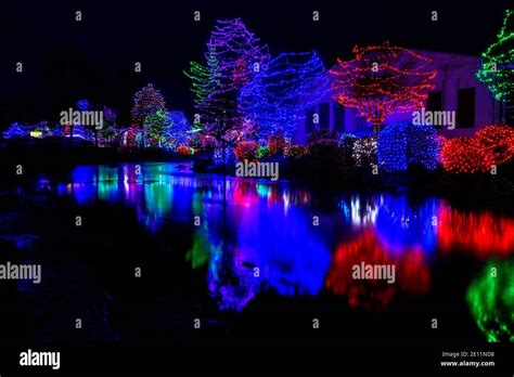 Indian Creek In Idaho Reflects Trees Covered With Christmas Lights