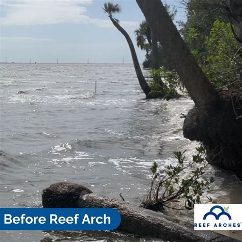 Reef Arches On Linkedin Project Update Reef Arch Had Completed Its