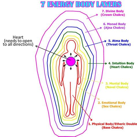 LOS CHAKRAS El sistema energético y los cuerpos sutiles del hombre