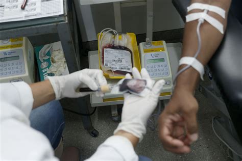 Dia Nacional Do Doador De Sangue Refor A Import Ncia Da A O