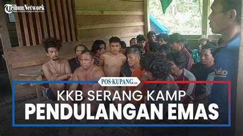 Opm Serang Kamp Pendulangan Emas Di Papua Pegunungan Klaim Bunuh